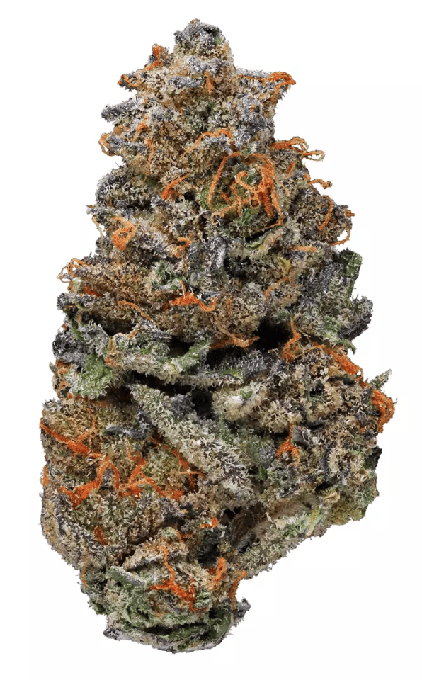 Order Girl Scout Cookies Strain