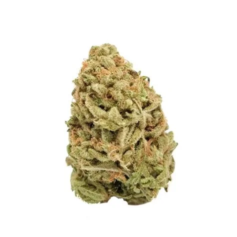 Green Goddess Sativa