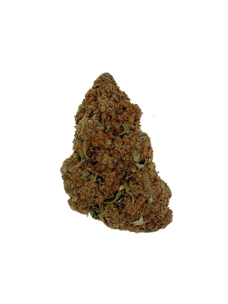 Nuken Indica B