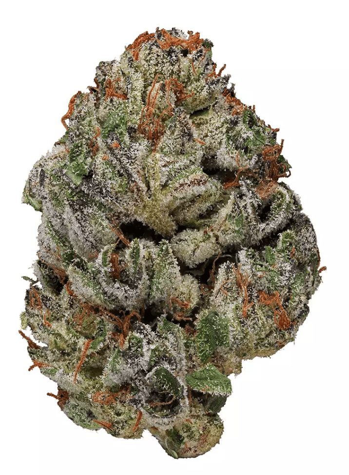 Buy Birthday Runtz Hybrid Strain