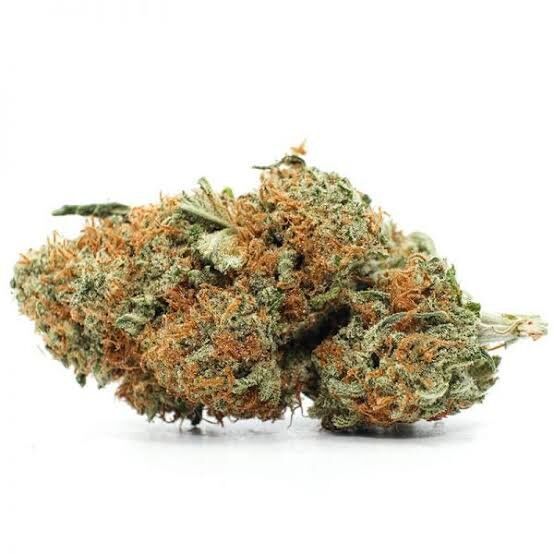 Buy Agent Orange Strain