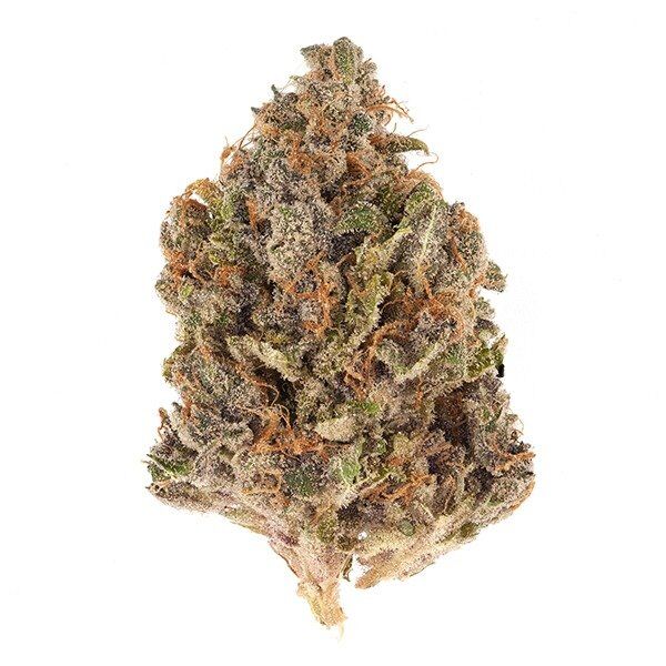 buy Cherry Gorilla Hybrid