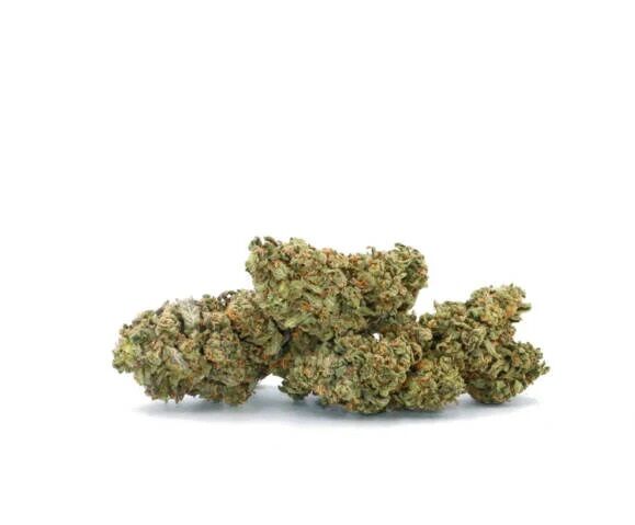 Buy Jack Herer Sativa Strain