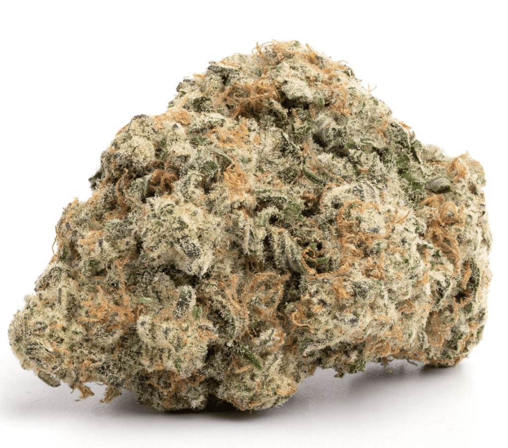 Gorila Bomb Strain