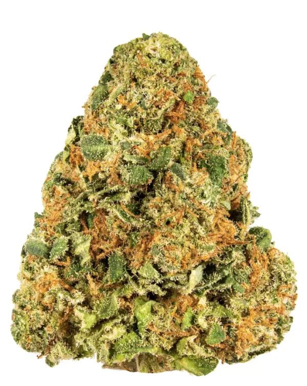 RED DIESEL – Hybrid (AAA)