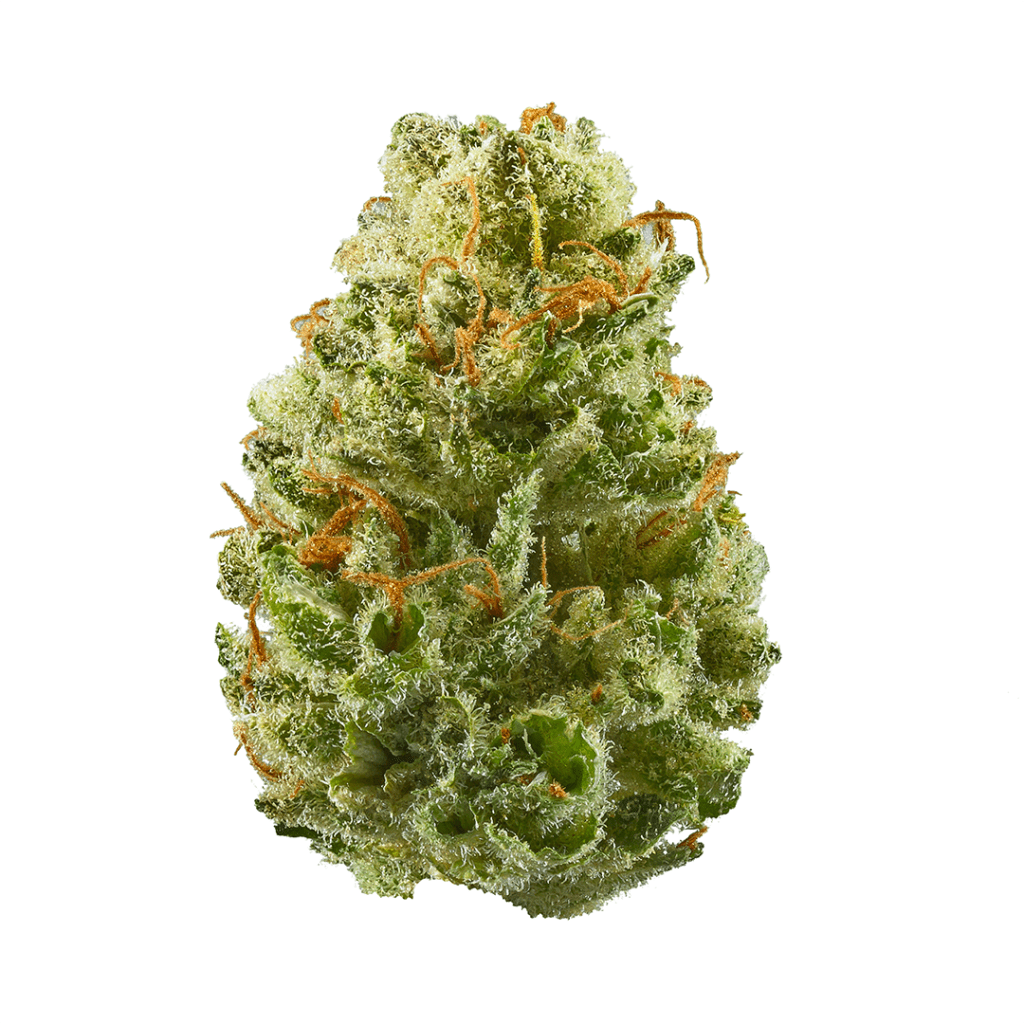 Buy Strawberry Cough Strain