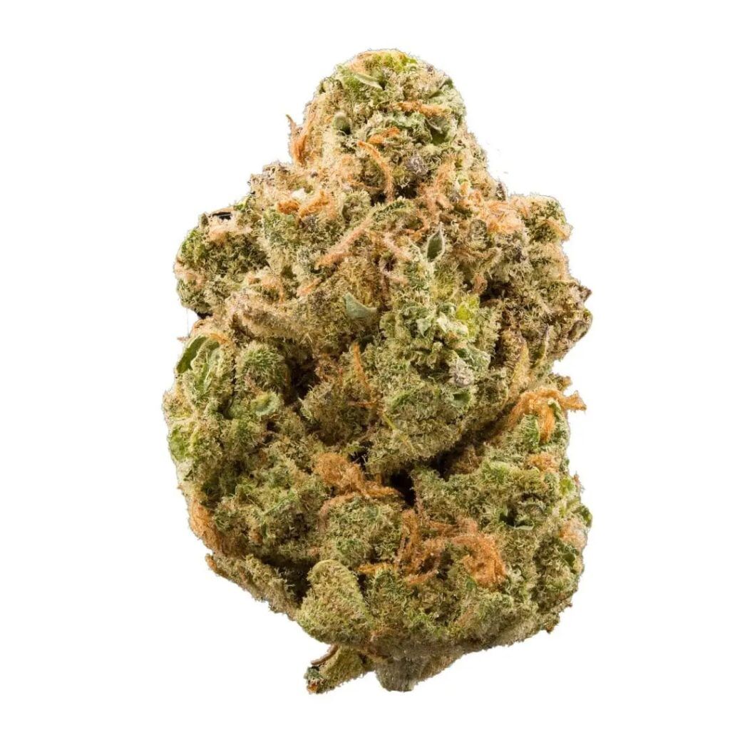 Super Silver Haze Strain