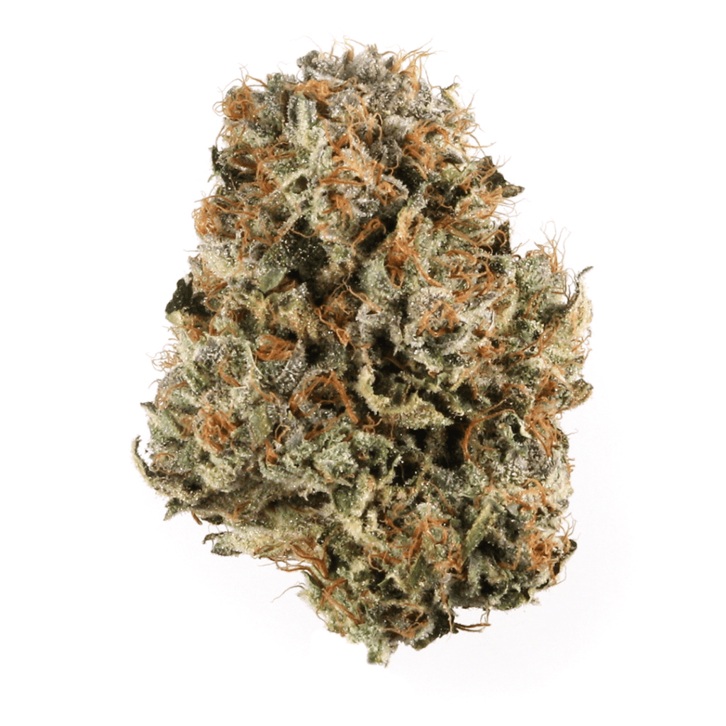 Buy Blue Cheese Strain