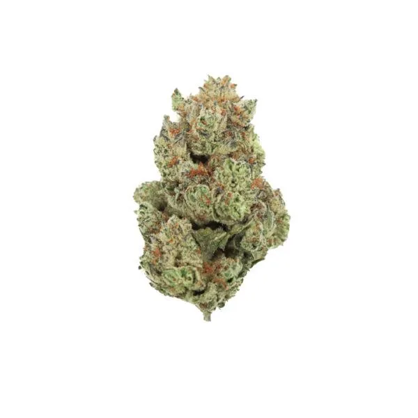 buy chimera cannabis strain