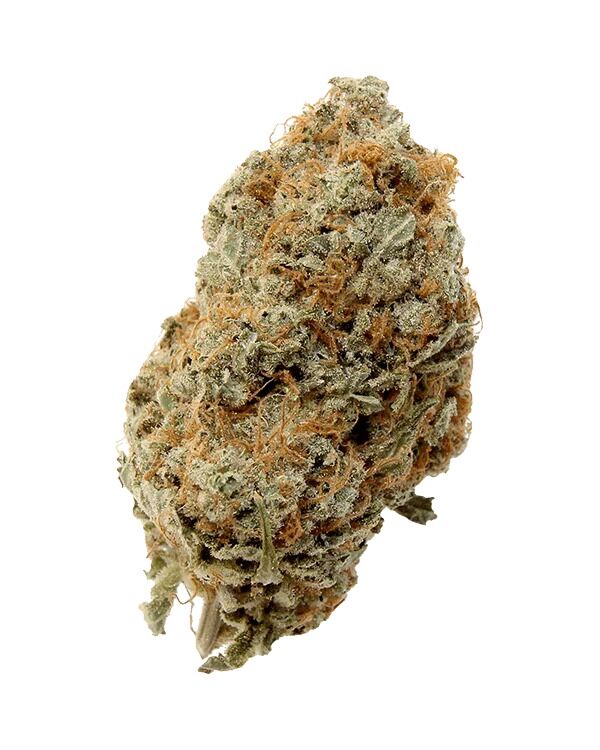 Island Girl Strain Sativa