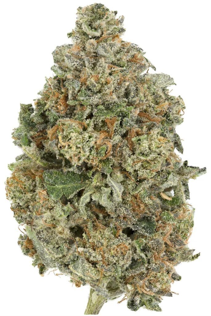 El Jefe Strain Indica