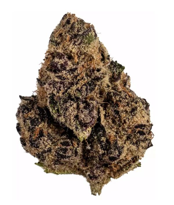 Tropic Truffle – Hybrid (AAA)