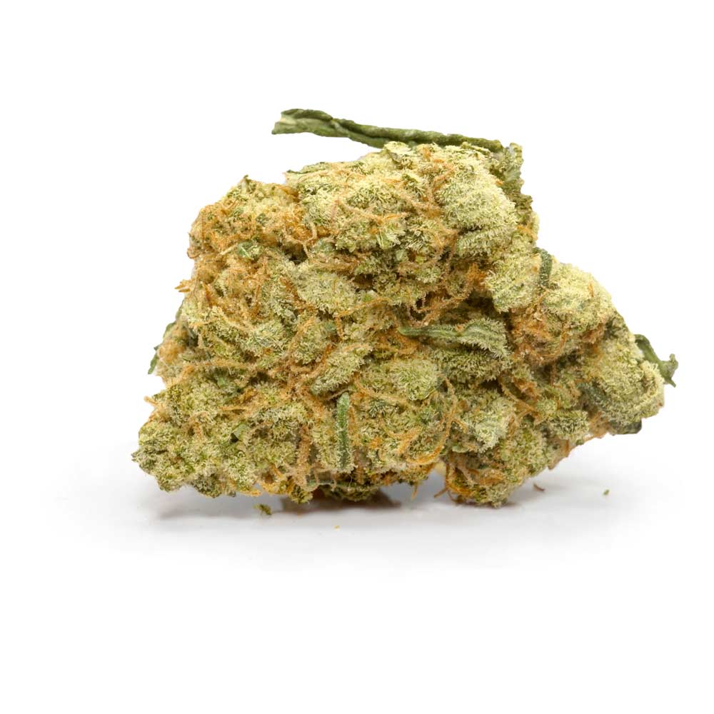 Buy Durban Poison Strain