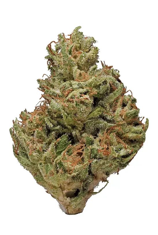 Black Lime - Indica (AAA)