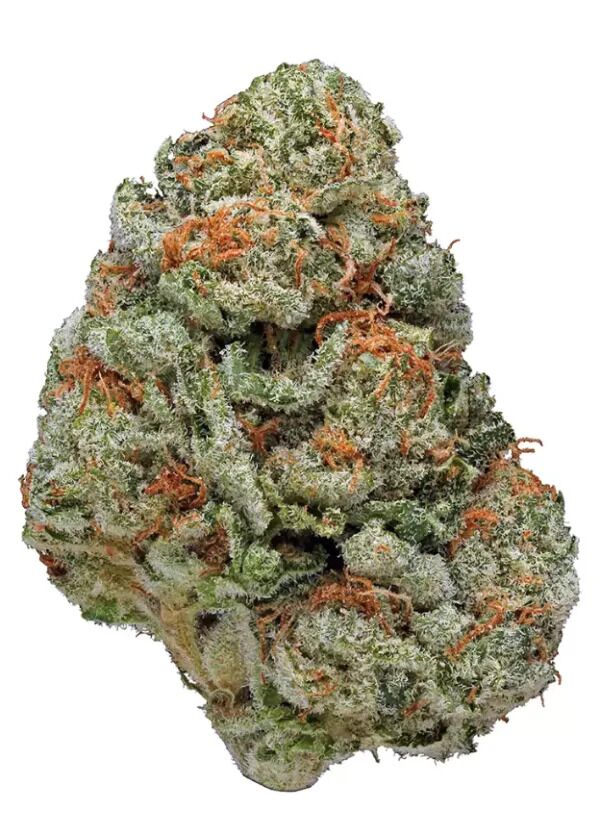 Buy Alien OG Strain