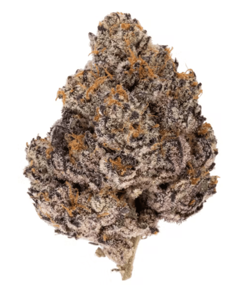 Slurricrasher Hybrid (AAA) Strain