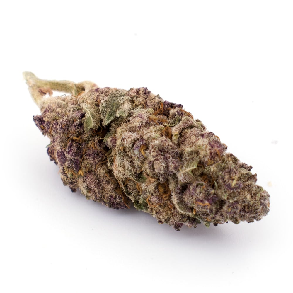 buy granddaddy purple strain indica