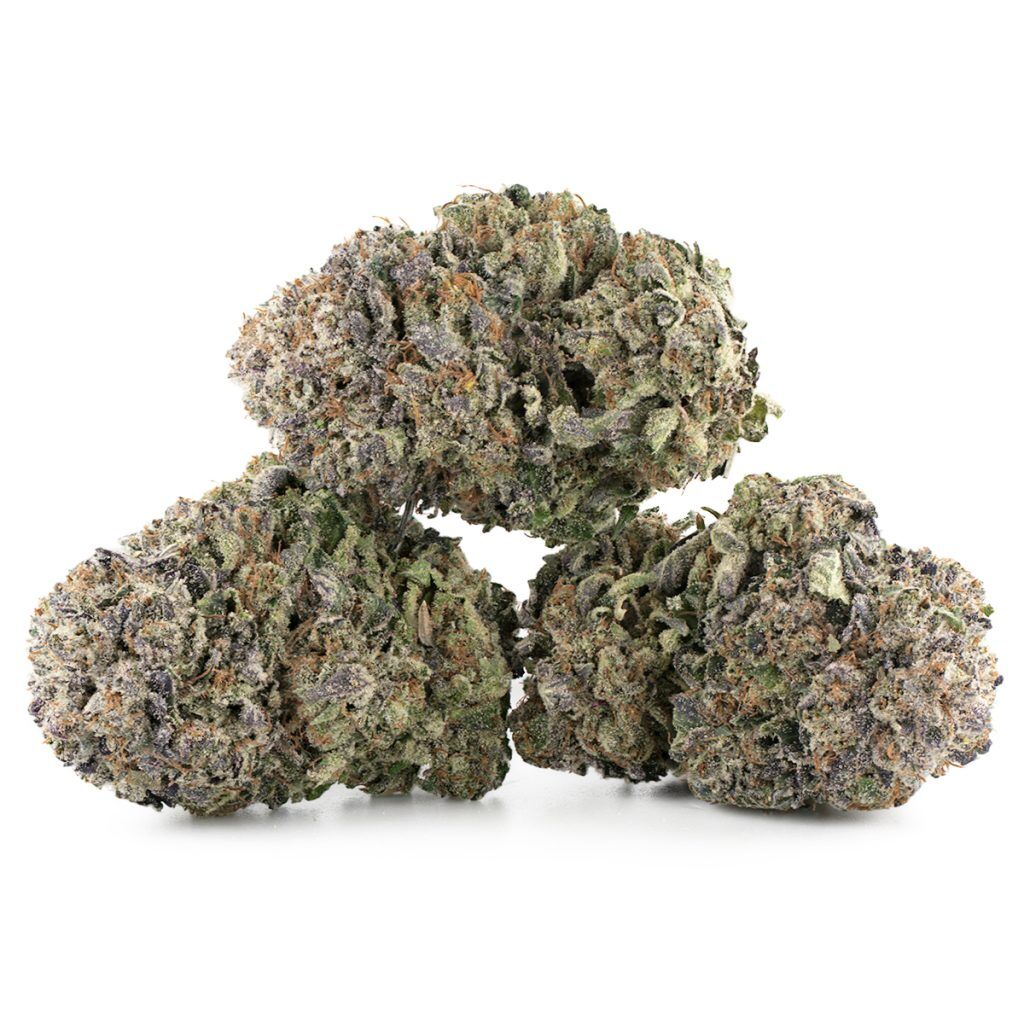 buy purple kush strain